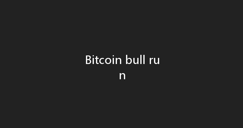 Bitcoin bull run 