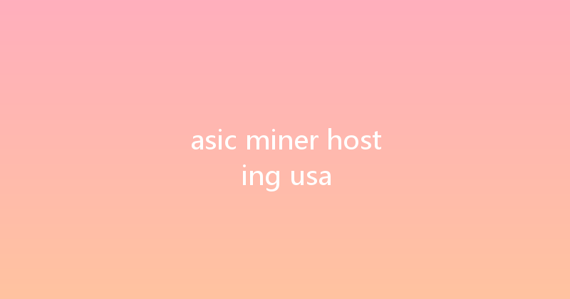 asic miner hosting usa 