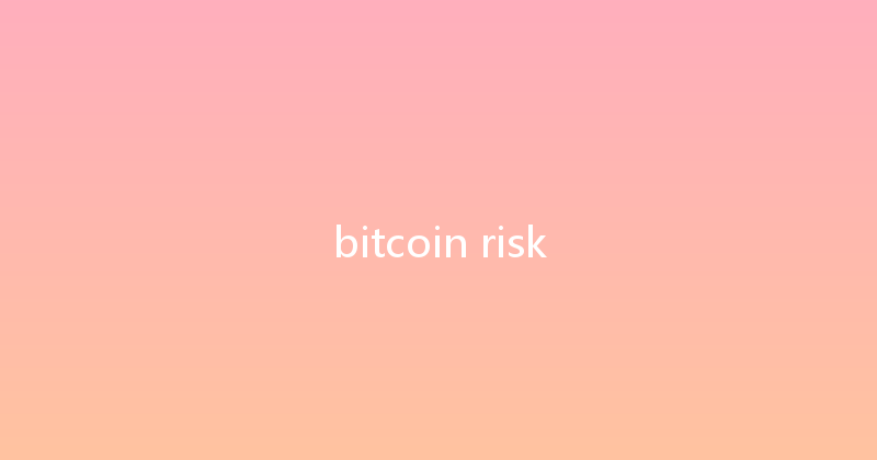 bitcoin risk 