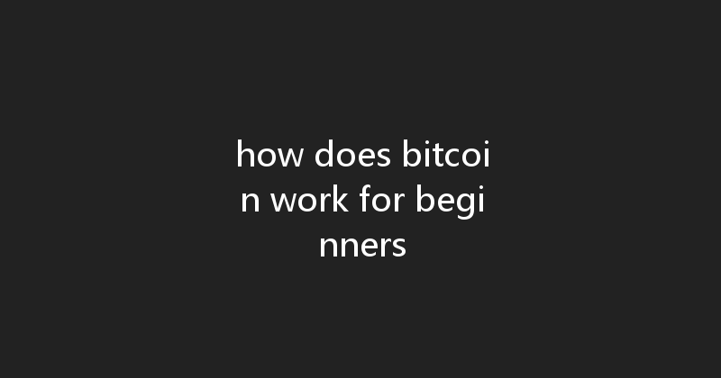 how does bitcoin work for beginners 
